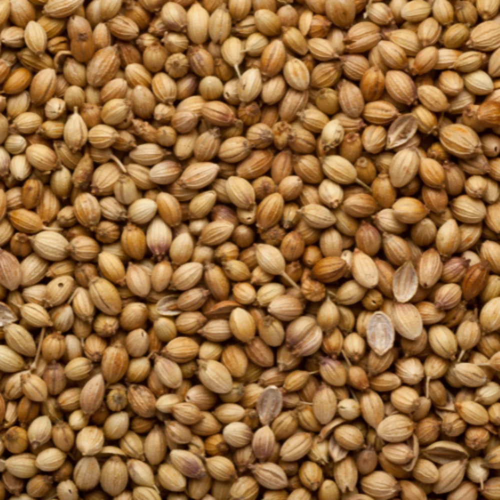 Organic Coriander Sabut (Dhaniya)